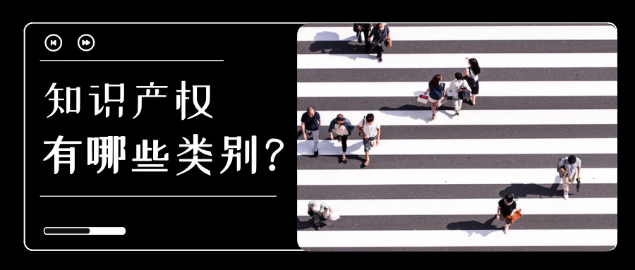 知識產(chǎn)權(quán) 知識產(chǎn)權(quán)